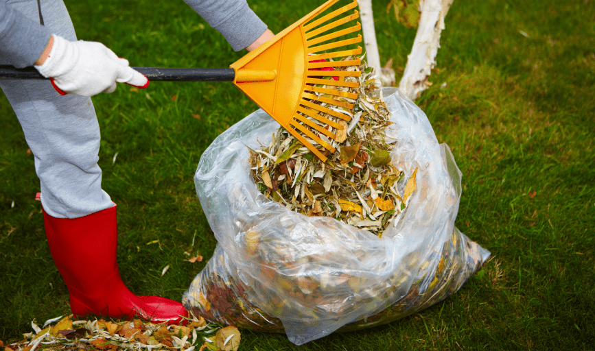 Saint Mountain Landscaping